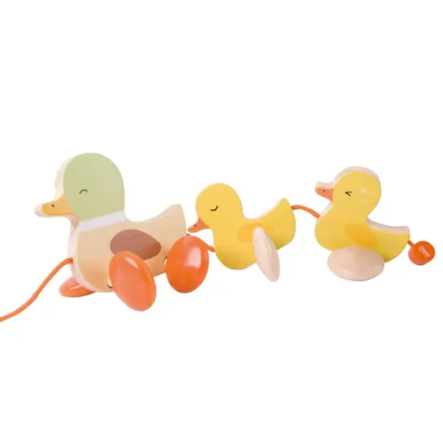 CARRITO HALAR PATITO CLASSIC WORLD -