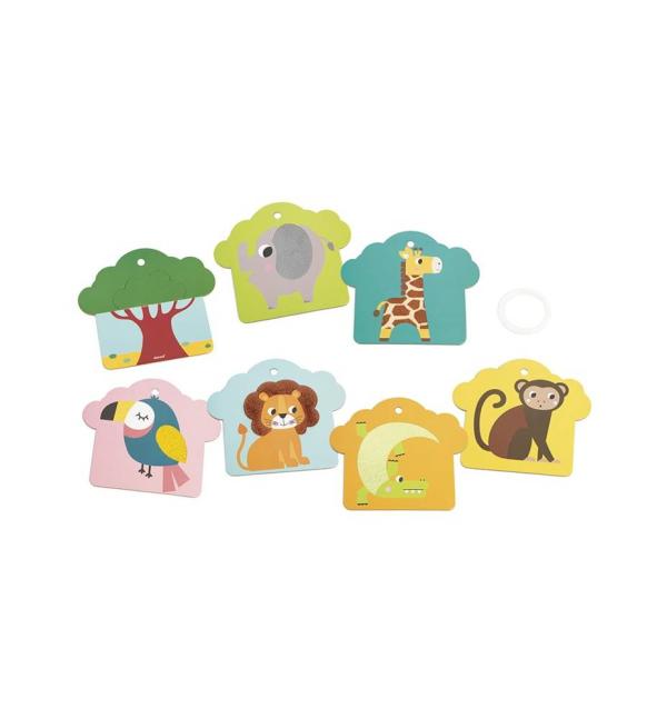 Savannah Tactile Cards Set
