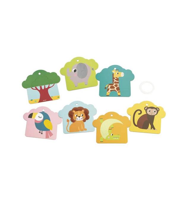 Savannah Tactile Cards Set