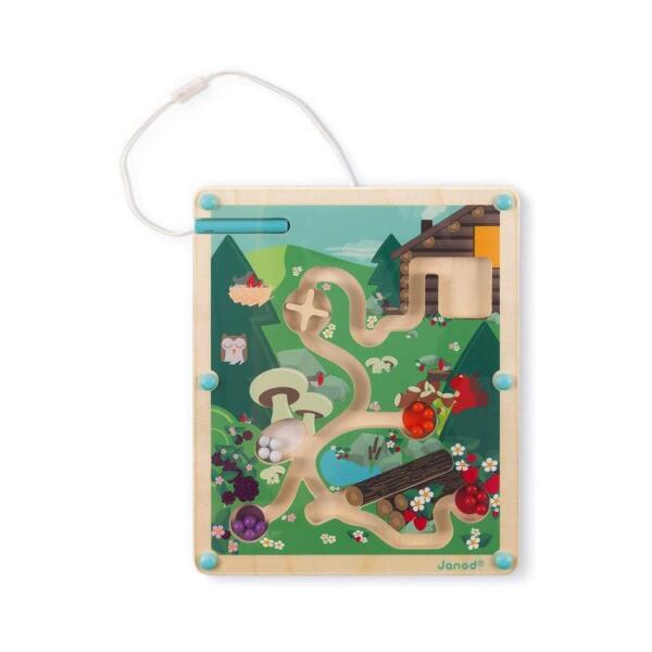 Juego Magnético de Bosque