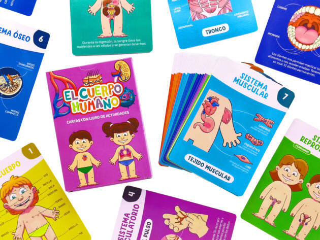 B.P Cartas El Cuerpo Humano